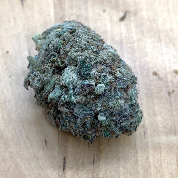 Blackberry cannabis strain, community photo 6