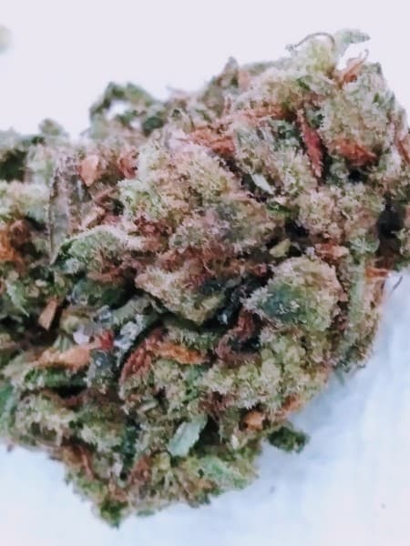 Blackjack cannabis strain, community photo 2