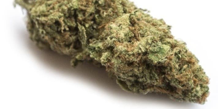 Blackjack cannabis strain, community photo 3
