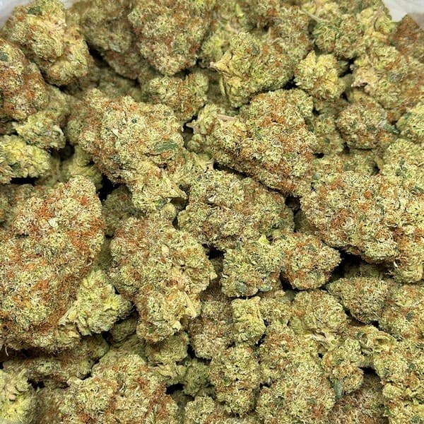 Blackwater cannabis strain, community photo 3