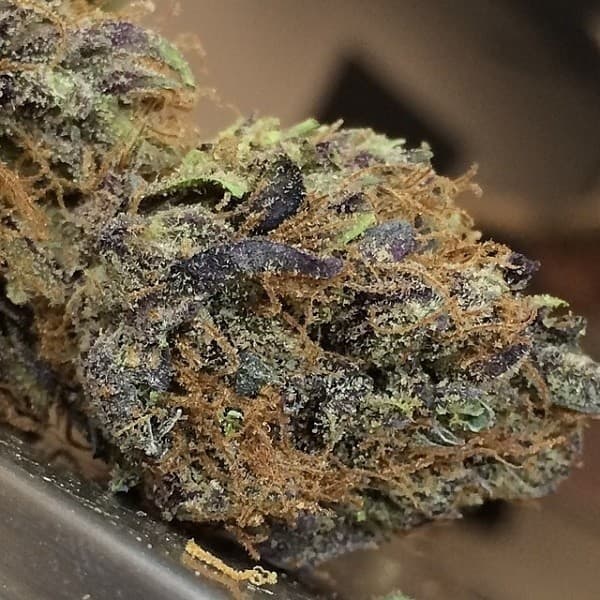Blackwater cannabis strain, community photo 7