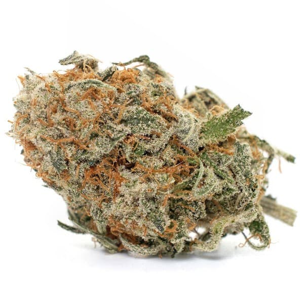 Blue Cheese cannabis strain, community photo 1