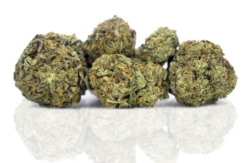 Blue Cheese cannabis strain, community photo 2