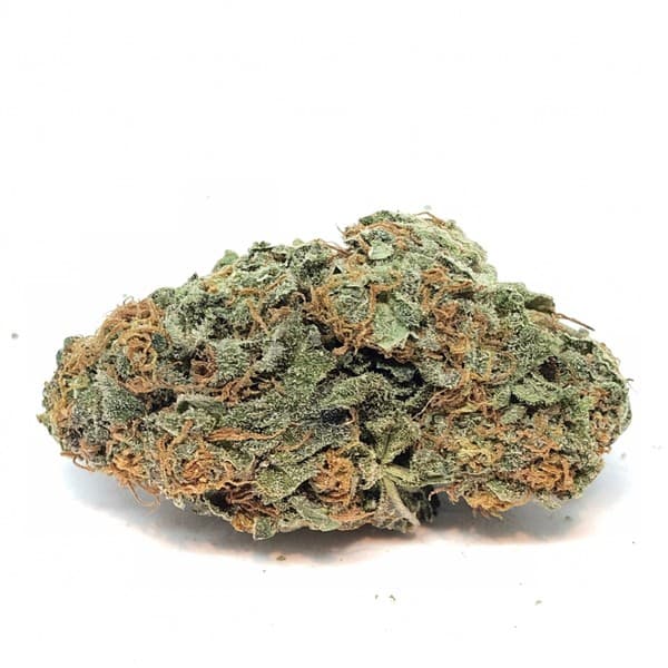 Blue Cheese cannabis strain, community photo 3