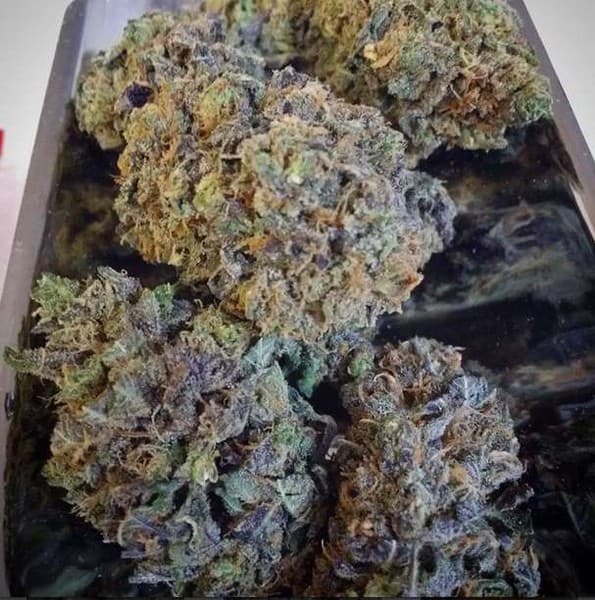 Blue Crack cannabis strain, community photo 1