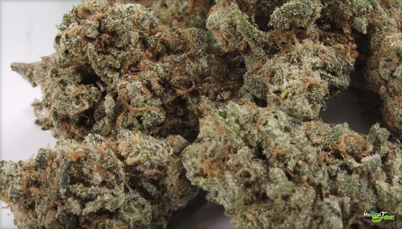 Blue Crack cannabis strain, community photo 2