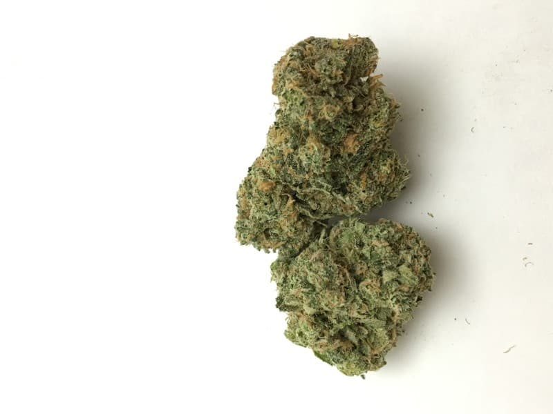 Blue Crack cannabis strain, community photo 3