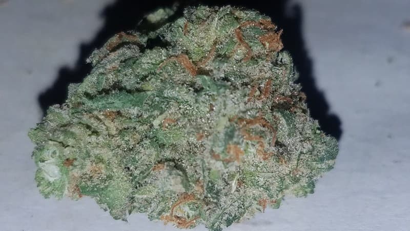 Blue Crack cannabis strain, community photo 4