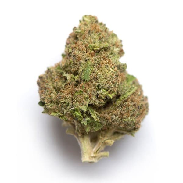 Blue Diesel cannabis strain, community photo 1