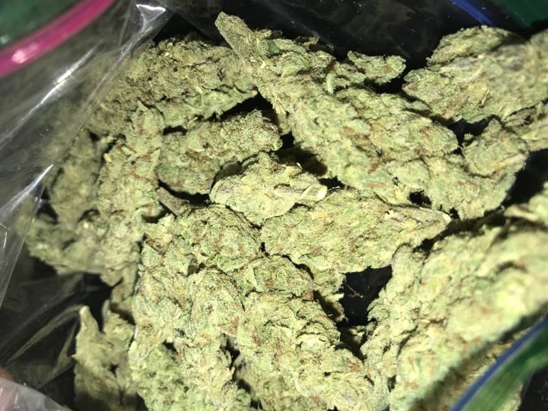 Blue Diesel cannabis strain, community photo 4