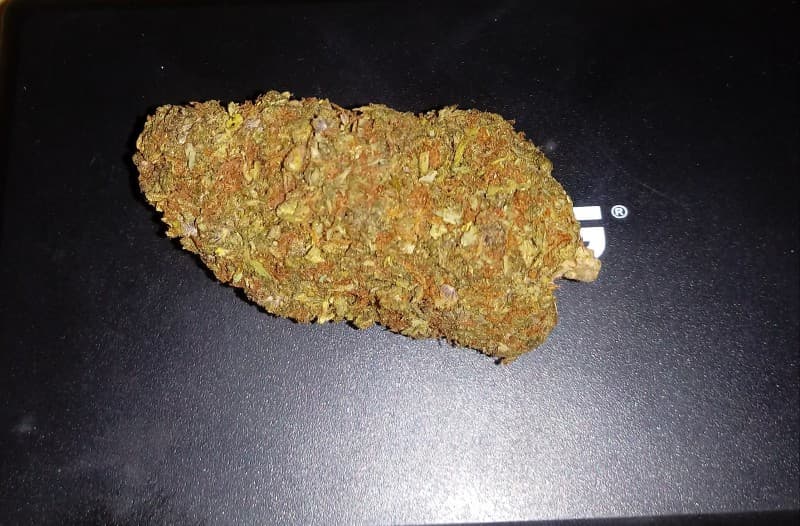 Blue Diesel cannabis strain, community photo 5