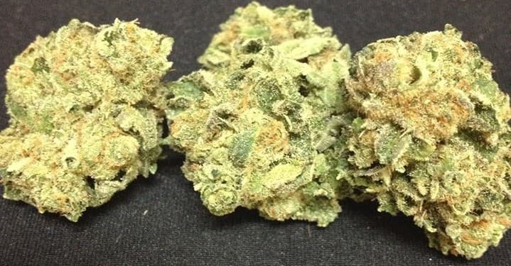 Blue Diesel cannabis strain, community photo 6