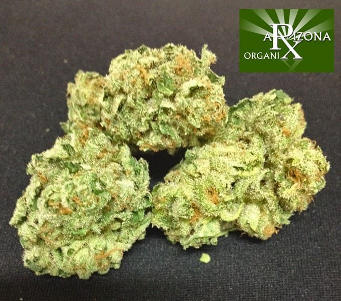 Blue Diesel cannabis strain, community photo 8