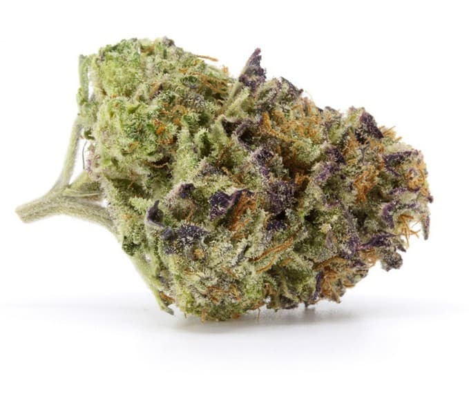 Blue Dream cannabis strain, community photo 2