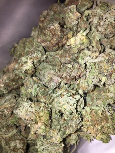 Blue Dream cannabis strain, community photo 3