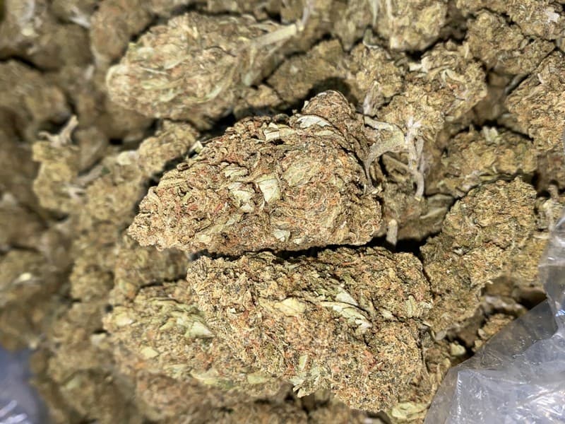 Blue Dream cannabis strain, community photo 6