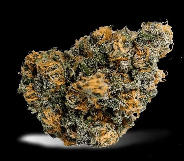 Blue Dream cannabis strain, community photo 7