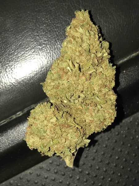 Blue Dream cannabis strain, community photo 9