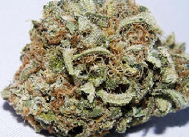 Blue Frost cannabis strain, community photo 4