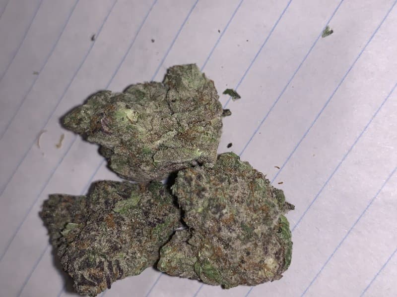 Blue Gelato cannabis strain, community photo 5