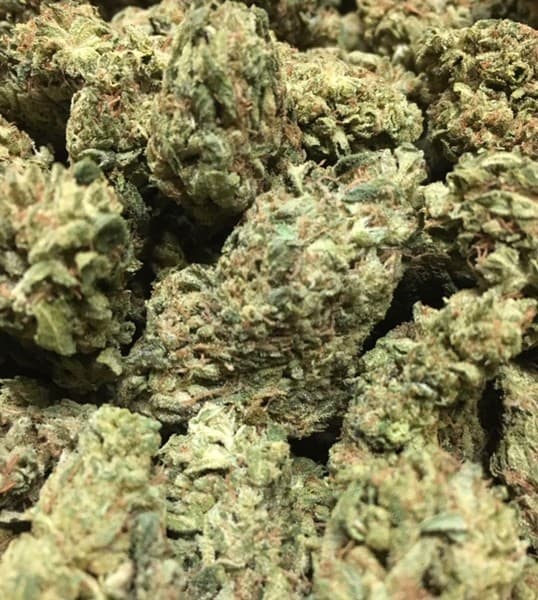 Blue Haze cannabis strain, community photo 1