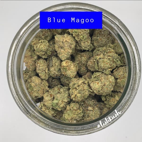 Blue Magoo cannabis strain, community photo 1