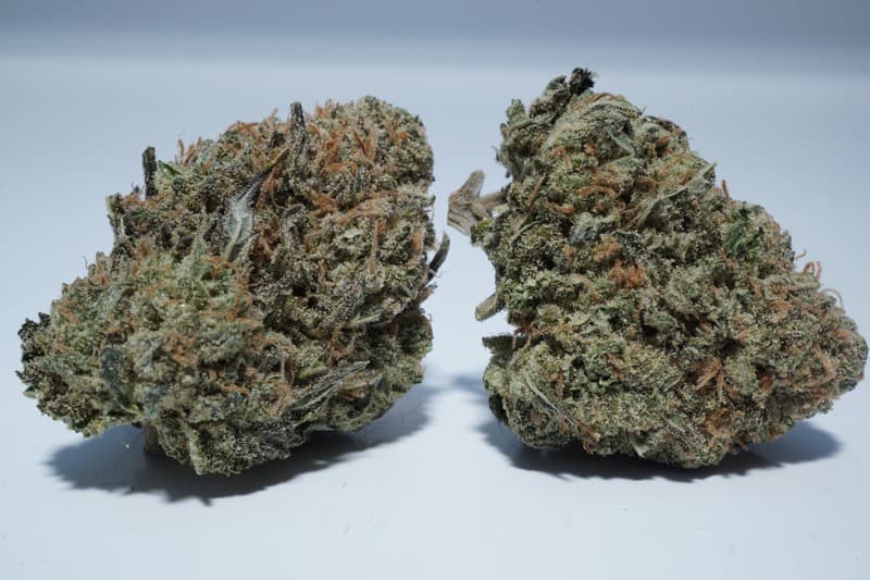 Blue Mystic cannabis strain, community photo 1