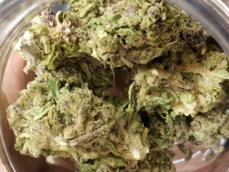 Blue Mystic cannabis strain, community photo 3