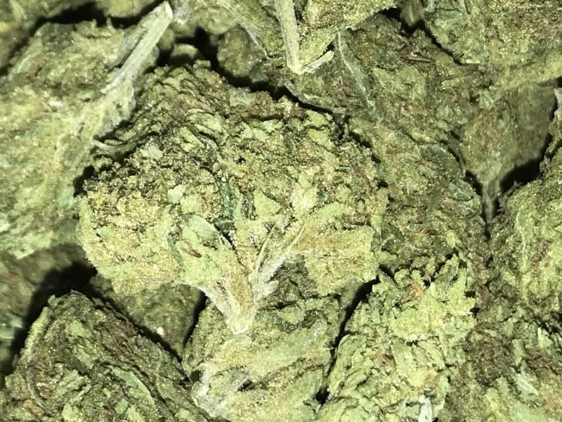 Blue Mystic cannabis strain, community photo 4