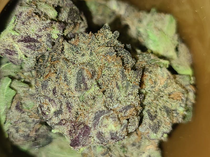 Blue Power cannabis strain, community photo 1