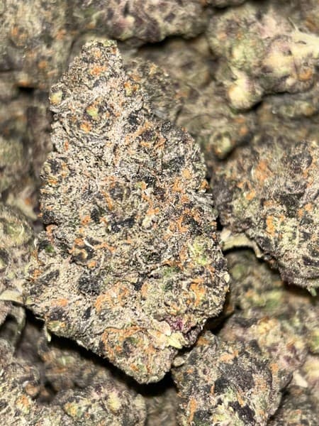 Blue Power cannabis strain, community photo 2