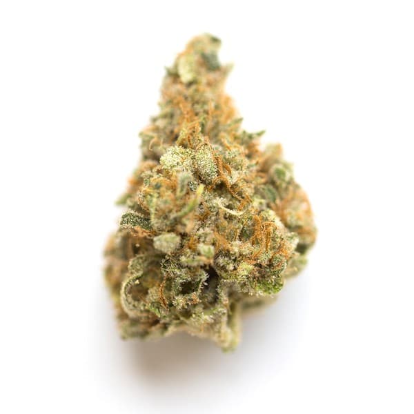 Blue Rhino cannabis strain, community photo 1