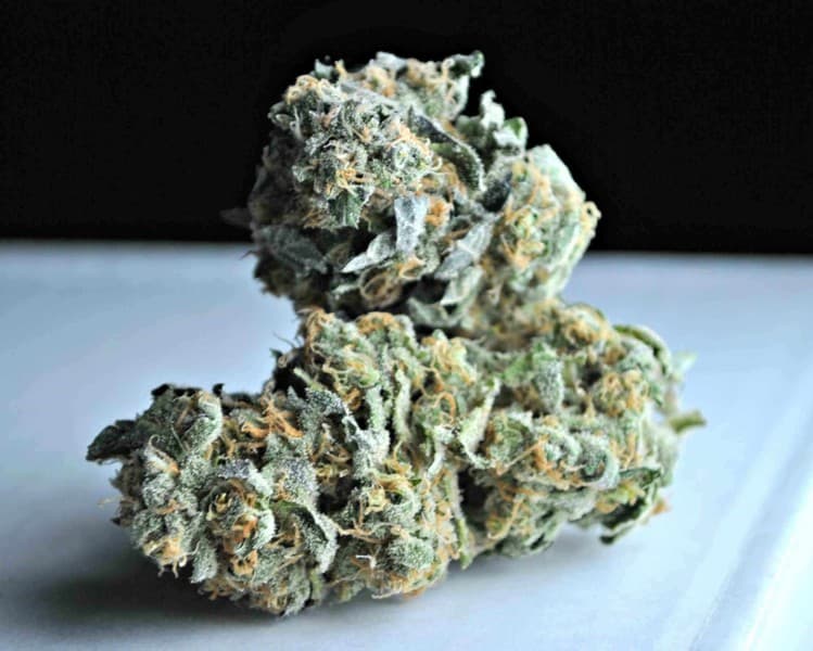 Blue Rhino cannabis strain, community photo 2