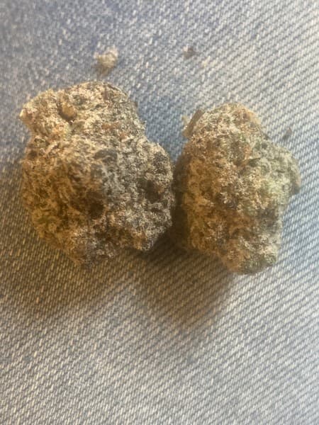 Blue Rhino cannabis strain, community photo 3