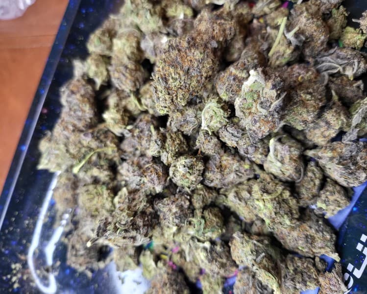Blue Runtz cannabis strain, community photo 2