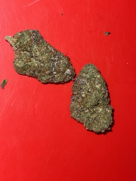 Blue Runtz cannabis strain, community photo 4