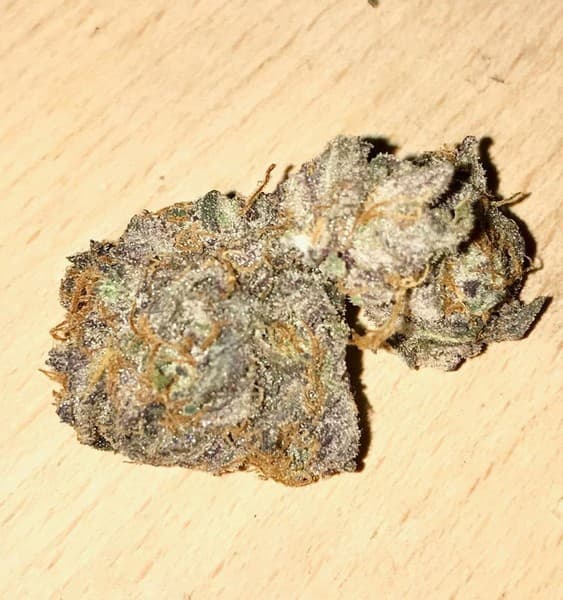 Blue Widow cannabis strain, community photo 6