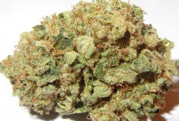 Blueberry cannabis strain, community photo 2