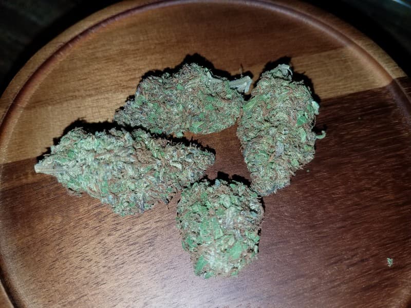 Blueberry cannabis strain, community photo 3