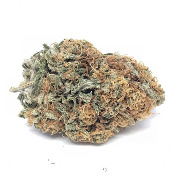 Blueberry cannabis strain, community photo 4