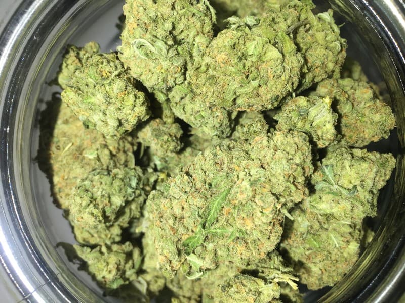 Blueberry cannabis strain, community photo 6