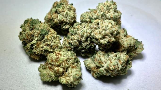 Boss OG cannabis strain, community photo 2