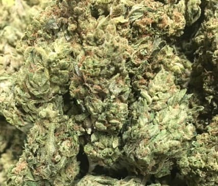 Boss OG cannabis strain, community photo 3