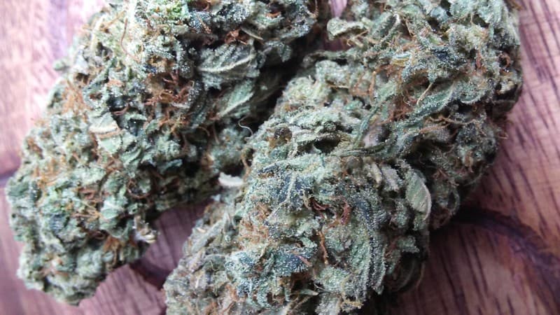Bubba Kush cannabis strain, community photo 2