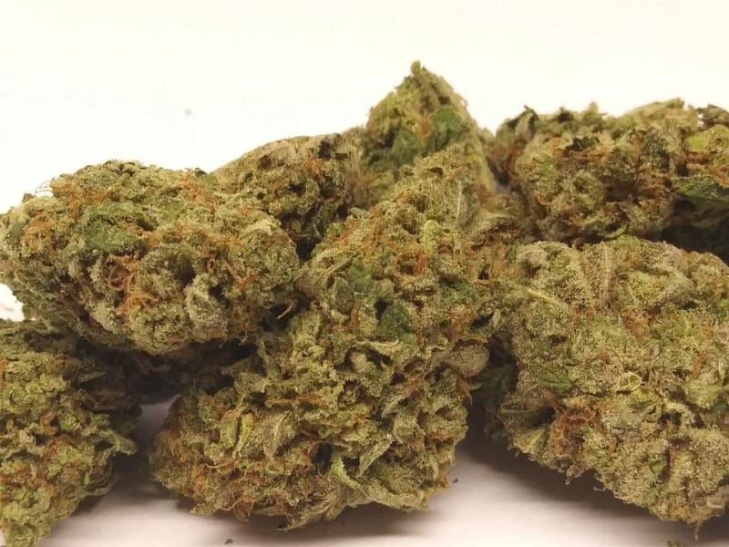 Bubba Kush cannabis strain, community photo 3