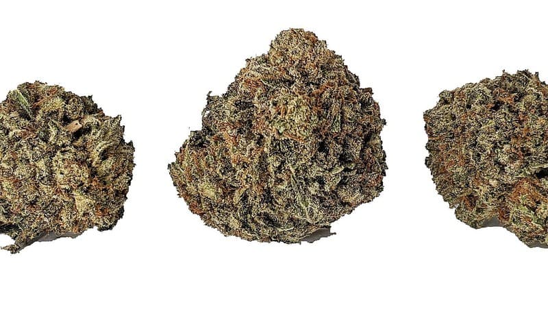 Bubba Kush cannabis strain, community photo 4