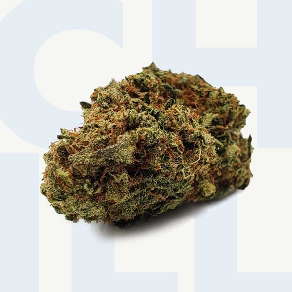Bubba Kush cannabis strain, community photo 7