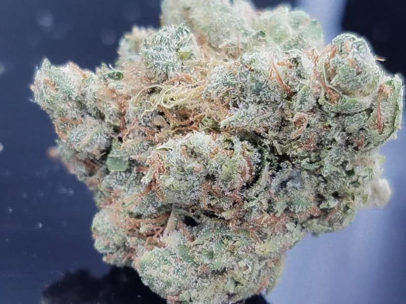 Bubba OG cannabis strain, community photo 3