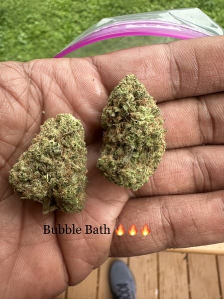 Bubble Bath cannabis strain, community photo 3