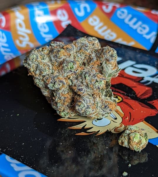 Bubble Gum cannabis strain, community photo 2